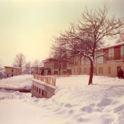 1969 - il villaggio a Bosco in abito invernale D