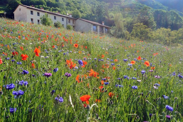 tretto-schio-foto-marco-adriani-1