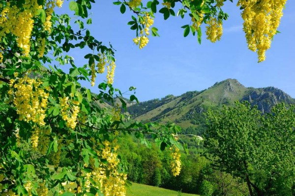 tretto-schio-foto-marco-adriani-5
