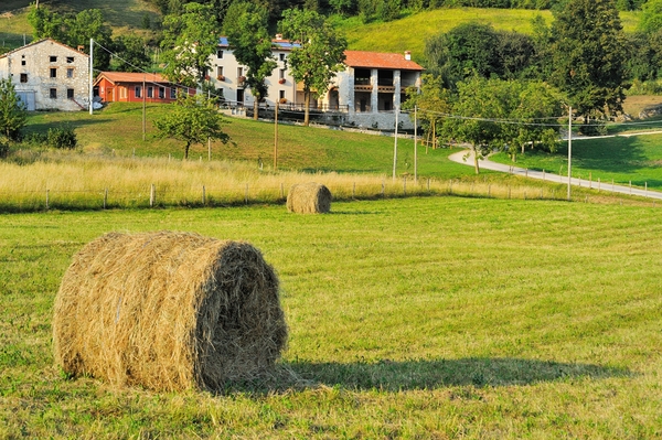 Foto dintorni case vacanza San Gaetano Schio – 7